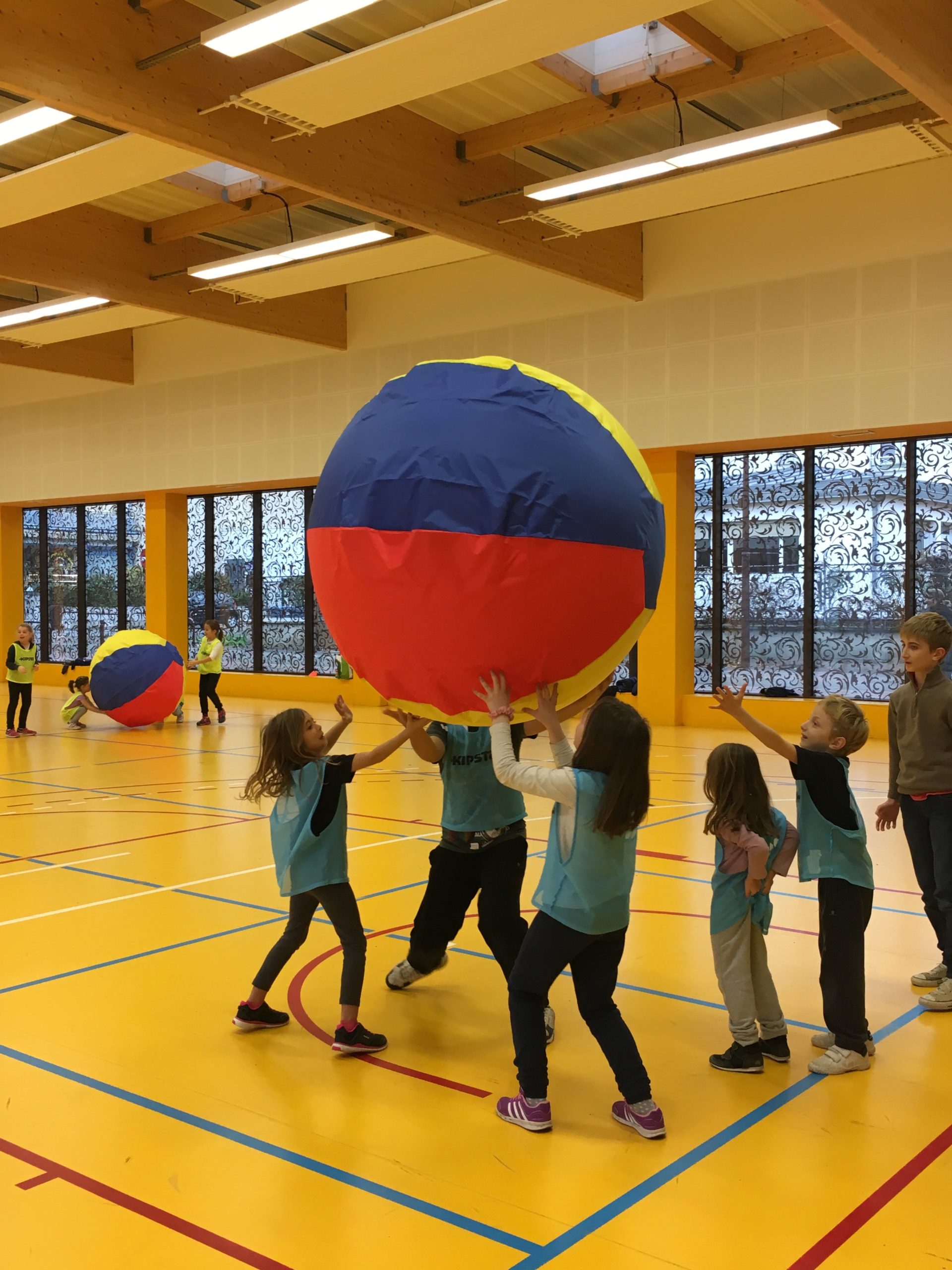 Multisport Jeux de ballon